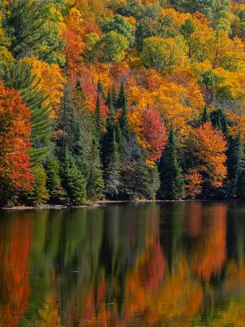 fall in quebec