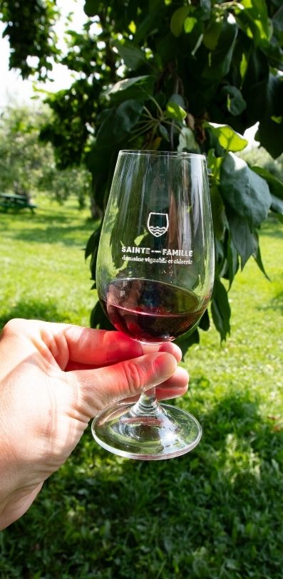 wine glass