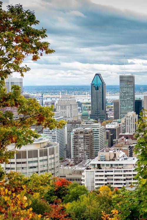 mont royal en automne